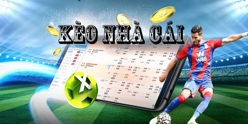 Các loại kèo cần hiểu rõ để áp dụng bí quyết chọn kèo nhà cái chuẩn xác