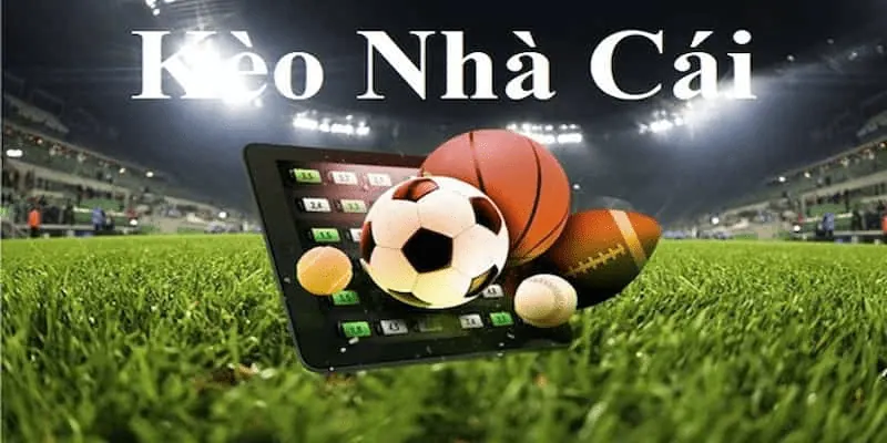 hướng dẫn đọc kèo nhà cái Các loại kèo phổ biến và cách đọc chính xác