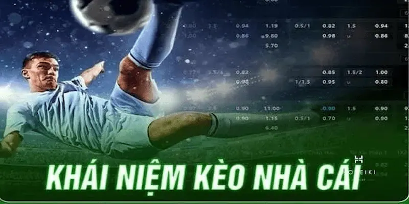 hướng dẫn đọc kèo nhà cái Cách phân tích và đưa ra lựa chọn từ bảng tỷ lệ kèo