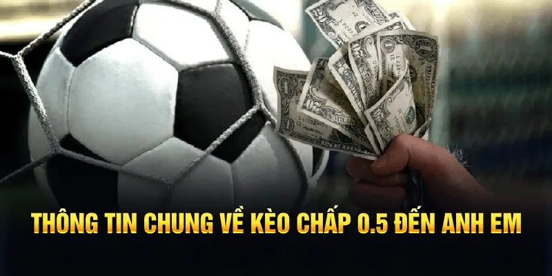 kèo nhà cái chấp 0.5 là gì Kèo nhà cái chấp 0.5 là gì trong hệ thống kèo châu Á