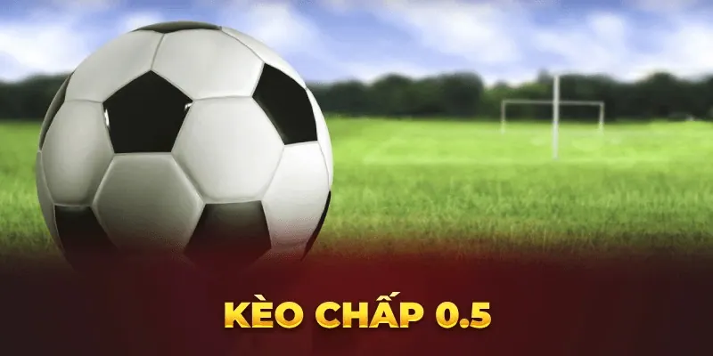 Mẹo chơi hiệu quả với kèo nhà cái chấp 0.5 là gì