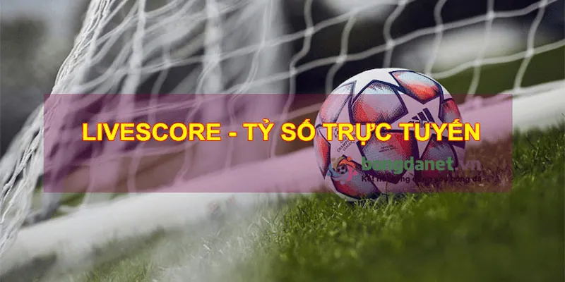 livescore Tận dụng livescore để nâng cao cơ hội chiến thắng