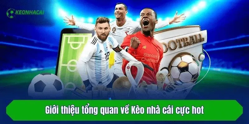 tin tức bóng đá Tổng quan thị trường bóng đá hiện nay