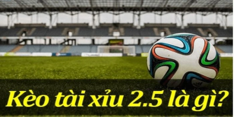 kèo tài xỉu 2.5 nghĩa là gì