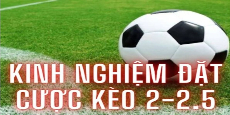 kèo tài xỉu 2.5 nghĩa là gì Kinh nghiệm bắt kèo tài xỉu 2.5 từ người chơi lâu năm